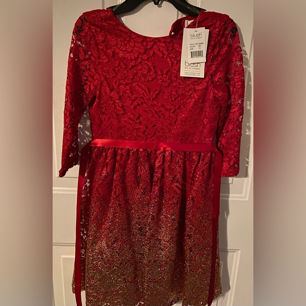 Beautiful Blush brand Red lace Christmas dress.